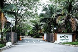 D' Kranji Farm Resort (D24), Land #517424011